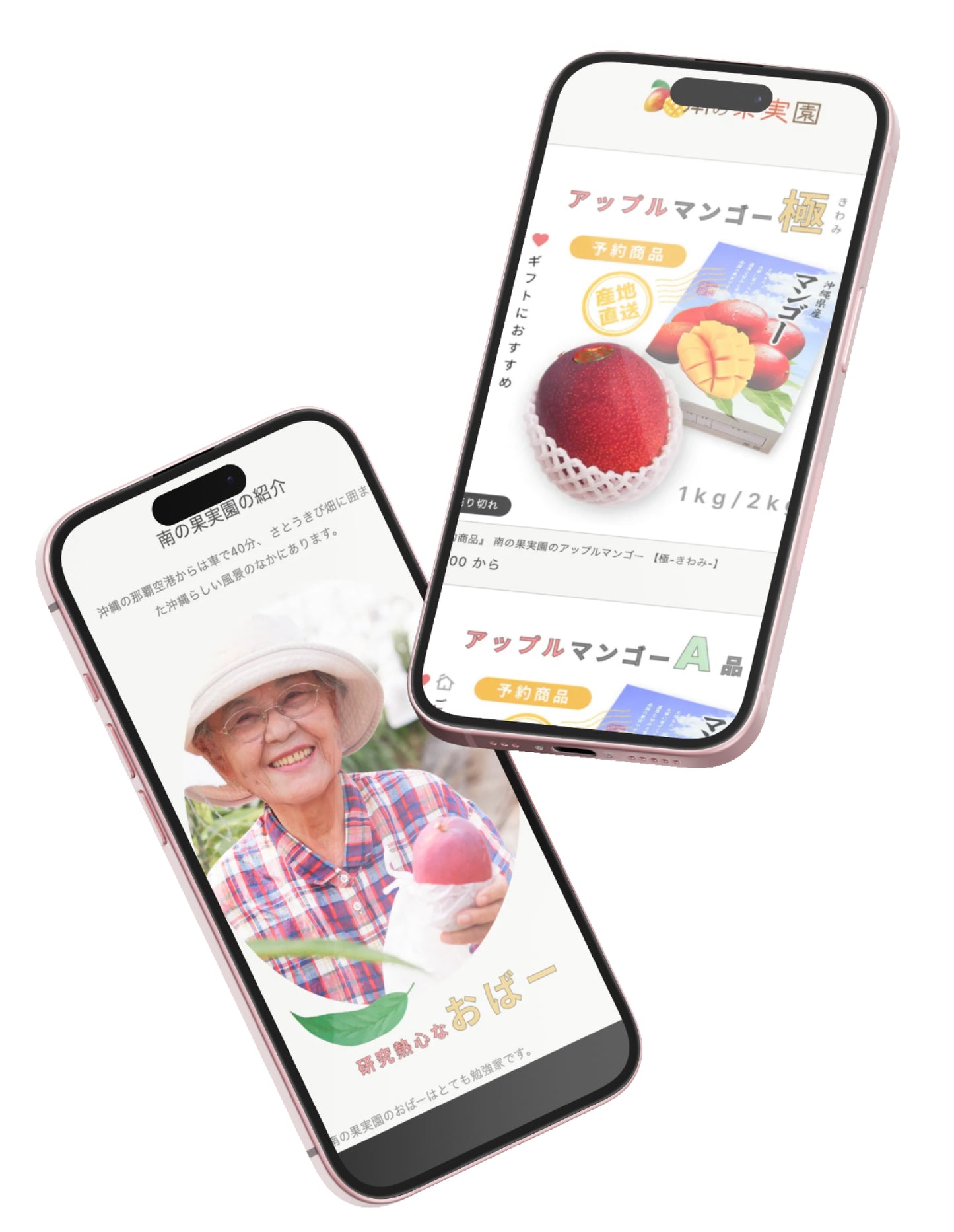 Creating a website that conveys the value of direct delivery from farmers. A production example that achieved dozens of orders through advance sales | Minami no Kajitsuen