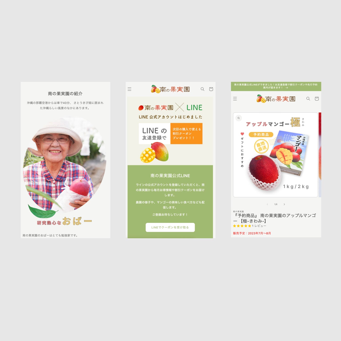 Creating a website that conveys the value of direct delivery from farmers. A production example that achieved dozens of orders through advance sales | Minami no Kajitsuen